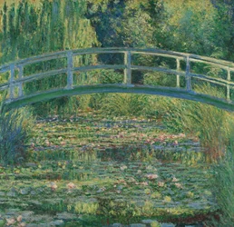Estanque de nenúfares, 1899